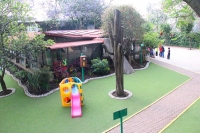 Alberca y jardín